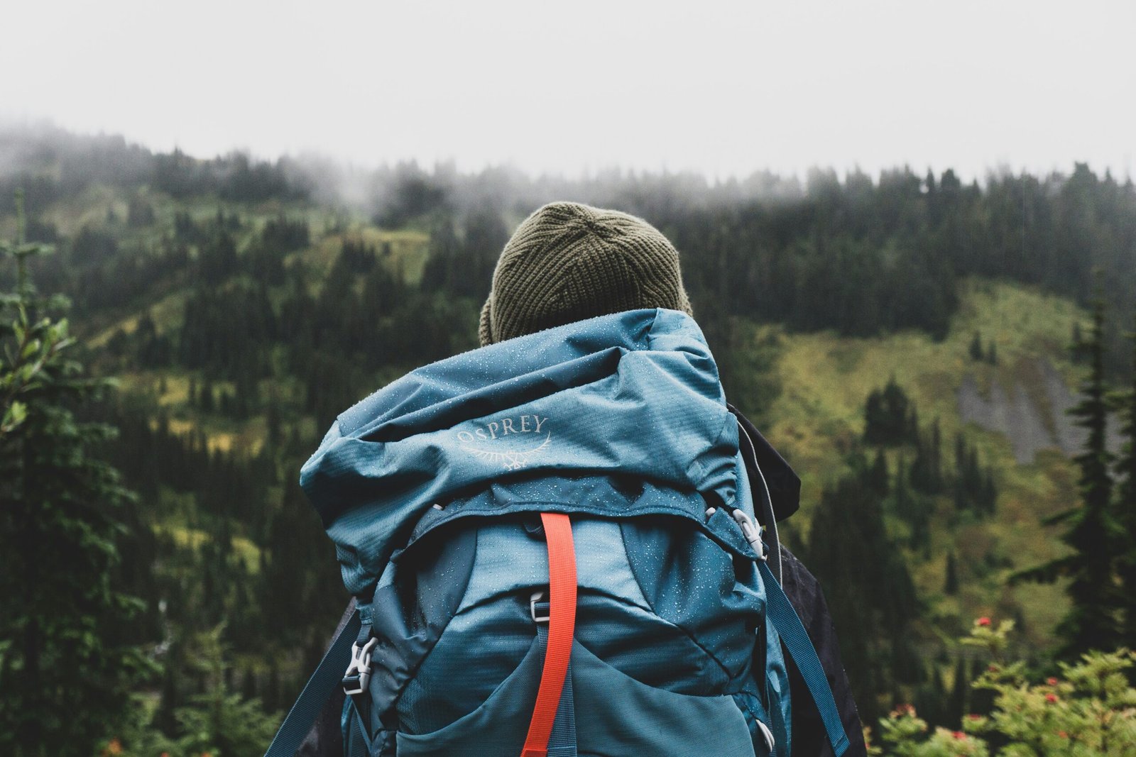 Van Life Packing List: Everything You Actually Need (and What to Leave)
