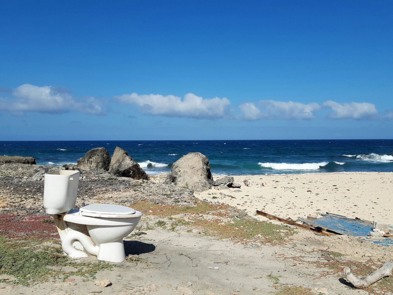 Título: Do You Need a Toilet in a Campervan? An Honest Answer